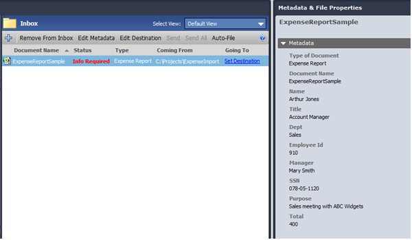 Expense report metadata extraction in metadata pane example